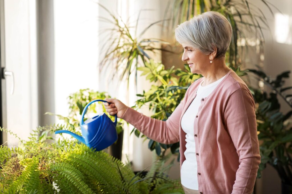 Elderly woman watering her indoor plants