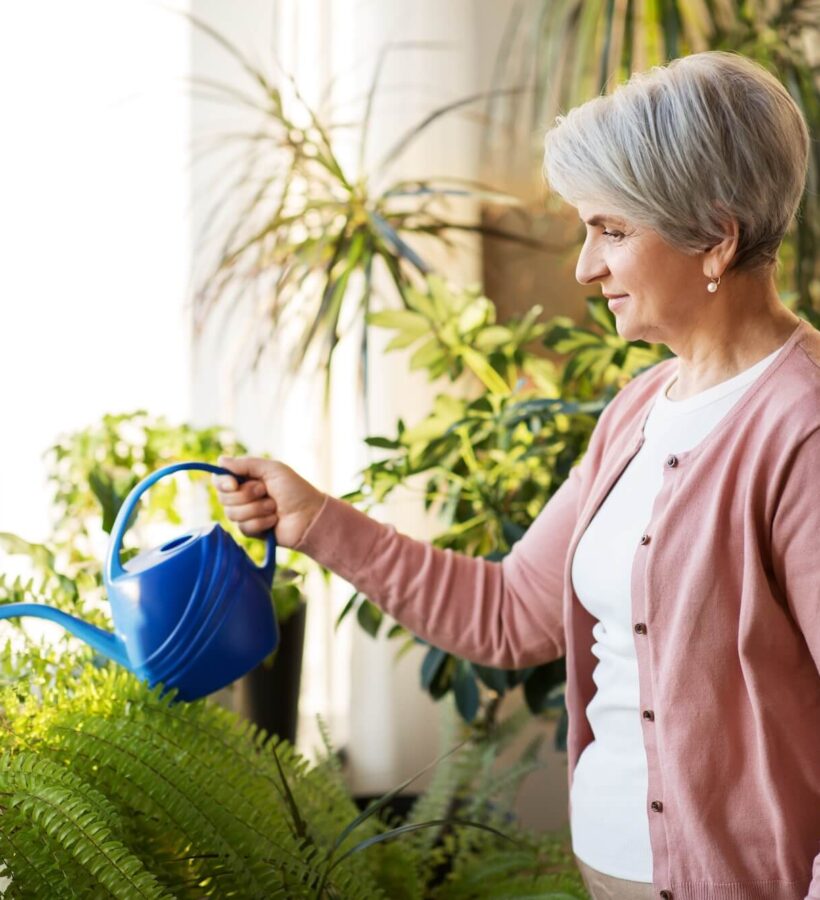 Elderly woman watering her indoor plants